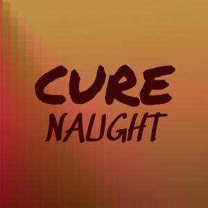 Various Artists的專輯Cure Naught