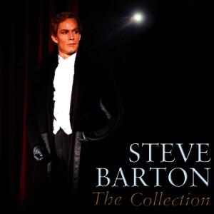 收聽Steve Barton的Vincent歌詞歌曲