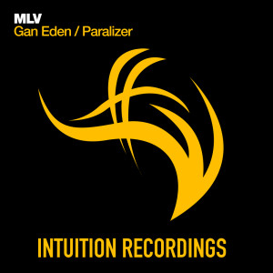 ดาวน์โหลดและฟังเพลง Paradizer (Original Mix) พร้อมเนื้อเพลงจาก MLV
