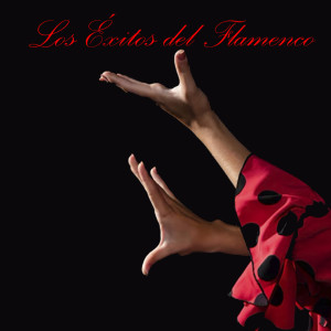 Various Artists的專輯Los Éxitos del Flamenco