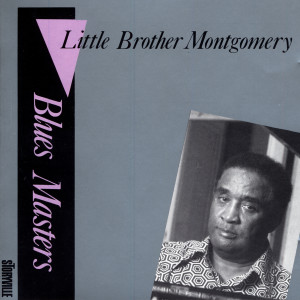 ดาวน์โหลดและฟังเพลง Vanada Anderson Blues พร้อมเนื้อเพลงจาก Little Brother Montgomery