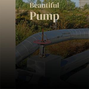 Album Beautiful Pump from 