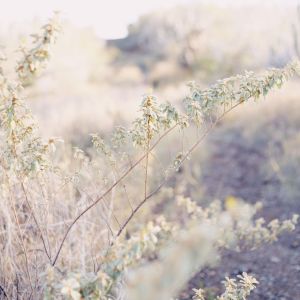 Album Ultimate Relaxation Sounds of Nature | Sleep from 