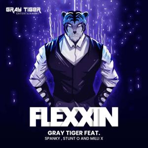 Listen to Flexxin song with lyrics from Gray Tiger