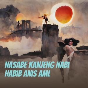 Listen to Nasabe Kanjeng Nabi Habib Anis Aml (Acoustic) song with lyrics from Shoviyatun nadhiroh