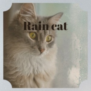 Various Artists的專輯Rain Cat