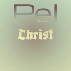 收聽Danie Hesti的Well-chosen Anthem歌詞歌曲