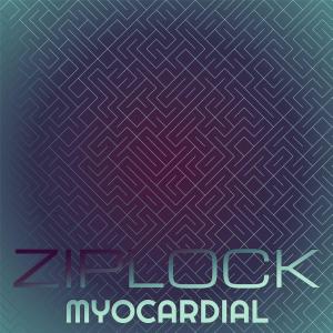 Dengarkan Ziplock Myocardial lagu dari Sram Seus dengan lirik