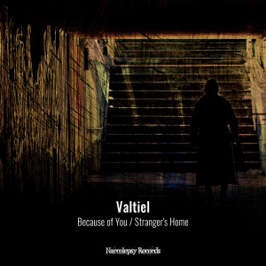 Listen to Stranger's Home song with lyrics from Valtiel