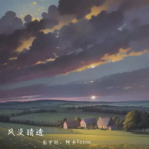Album 风没猜透 from 阿书Veson