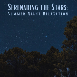Album Serenading the Stars: Summer Night Relaxation" from Spa Relaxation & Spa
