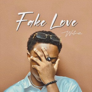 收听Welmz的Fake Love (Sped Up)歌词歌曲