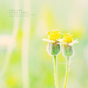 Listen to Dew song with lyrics from Han Seula