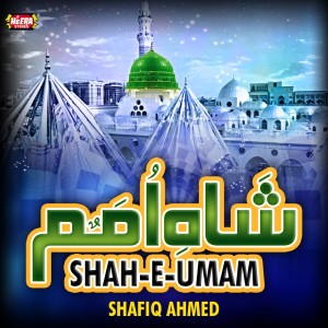 Shafiq Ahmed的專輯Shah E Umam