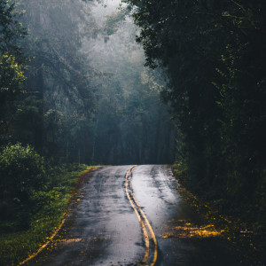 Listen to Sit Back and Relax song with lyrics from Relaxing Music Therapy