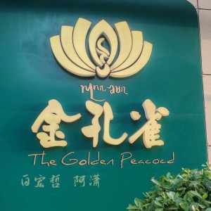 白宏哲的专辑一窝金孔雀