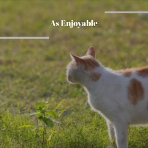 Various Artists的專輯As Enjoyable