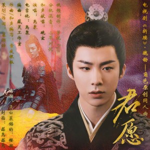 Album 君愿 from 