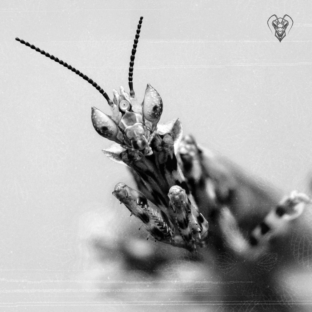 OCULAR (feat. Polybit & deborah.)
