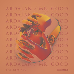 收聽Ardalan的I Can't Wait (Ardalan's Acoustic Rework)歌詞歌曲