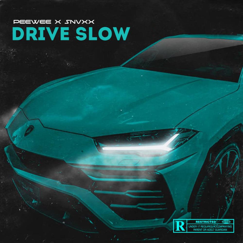 Drive Slow(feat. Snvxx) (Explicit)