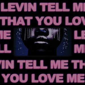 Levin的專輯Tell Me That You Love Me