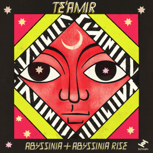 Dengarkan Afar Hustle (其他) lagu dari Te'amir dengan lirik