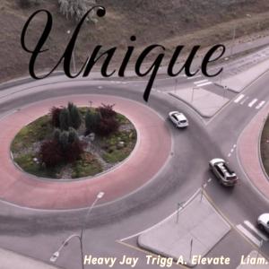 收聽Heavy Jay的Unique (feat. Liam. & Trigg A. Elevate) (Explicit)歌詞歌曲