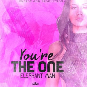 ดาวน์โหลดและฟังเพลง You're the One (Explicit) พร้อมเนื้อเพลงจาก Elephant Man