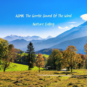 ASMR The Gentle Sound Of The Wind