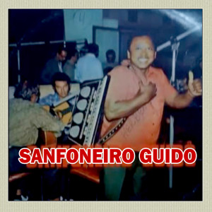 Listen to Divino Amor - SANFONEIRO GUIDÔ song with lyrics from Sanfoneiro Guido