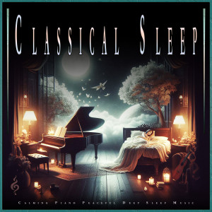 Classical Music For Relaxation的專輯Classical Sleep: Calming Piano Peaceful Deep Sleep Music