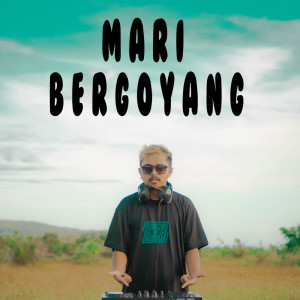 DJ Qhelfin的专辑Mari Bergoyang