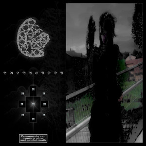 Album PROPAGANDA (Explicit) from Kboigray