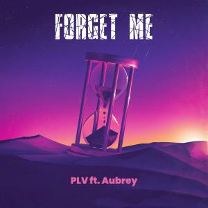 收聽PLV Music的Forget Me (feat. Aubrey Illurimo)歌詞歌曲