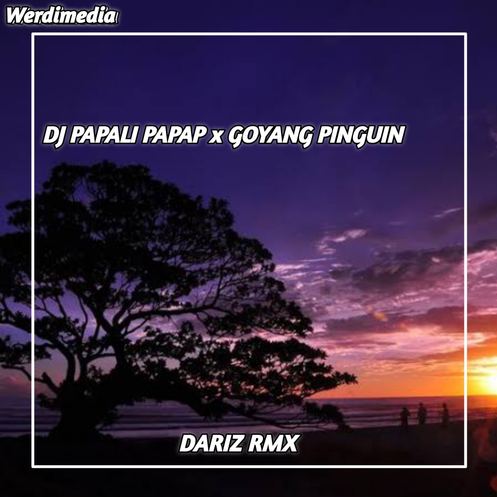 DJ PAPALI PAPAP x GOYANG PINGUIN (Explicit)