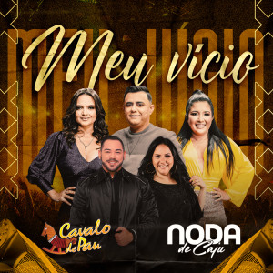 收聽Cavalo de Pau的Meu Vício歌詞歌曲
