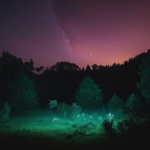 default album img