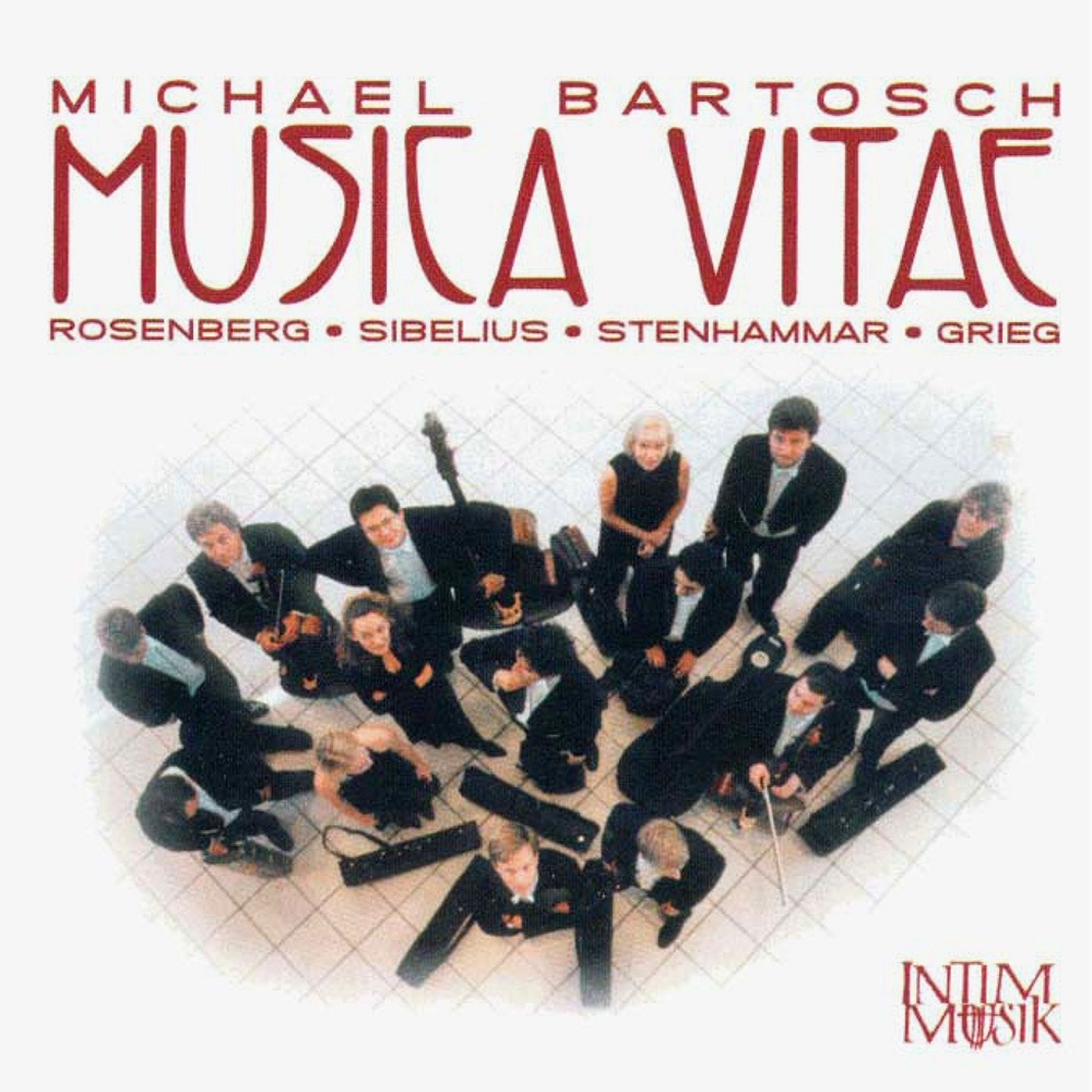 String Quartet in G Minor, Op. 27: IV. Finale. Lento - Presto al saltarello (Arr. T. Liljeholm for string orchestra)