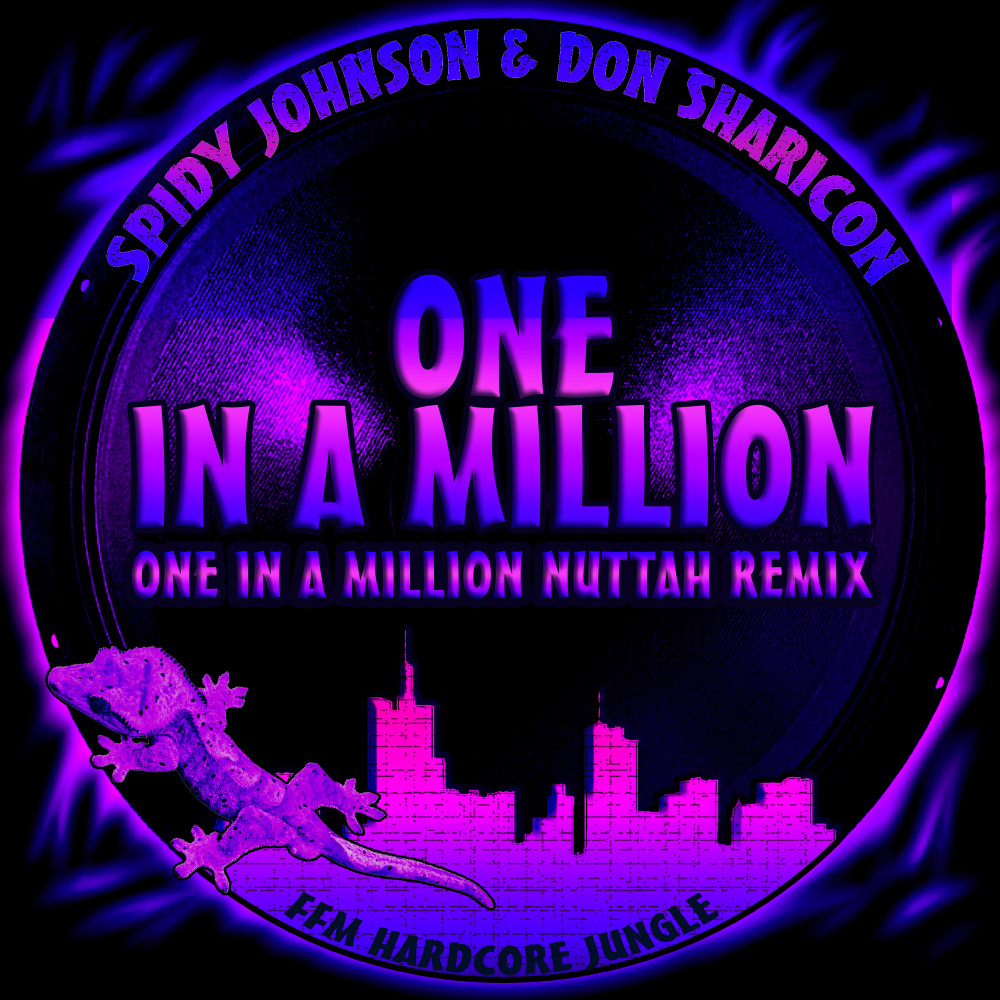 One in a Million (One In A Million Nuttah D&B Remix)