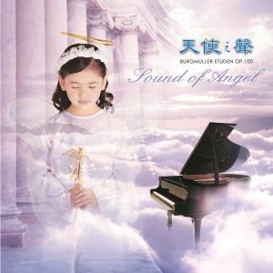 Album Tian Shi Zhi Sheng: Bu Er Ge Mi Le 25 Shou Lian Xi Qu from 丝国兰