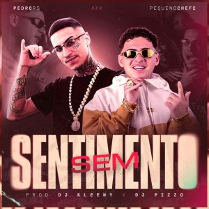 Album SEM SENTIMENTO (Explicit) from 