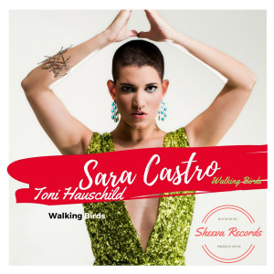 收聽Toni Hauschild的Walking Birds (Live Club Mix)歌詞歌曲