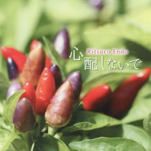 ดาวน์โหลดและฟังเพลง Itsumademo พร้อมเนื้อเพลงจาก Endou Ritsuko