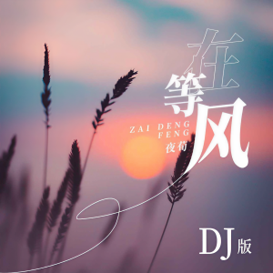 Album 在等风（DJ版） from 夜荀
