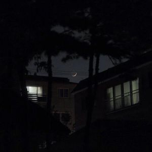 Listen to 雪中悍刀行 (DJ说唱版) song with lyrics from 张思思