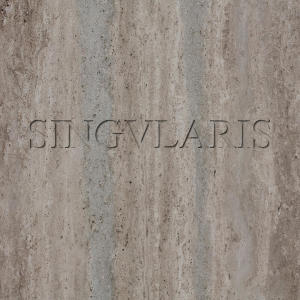 Singularis的專輯Exile