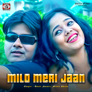 Album Milo Meri Jaan from Basir Ansari