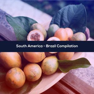 Album SOUTH AMERICA - BRAZIL COMPILATION from Various