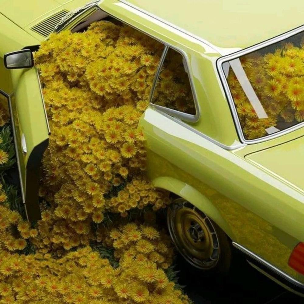 yellow vitamin water